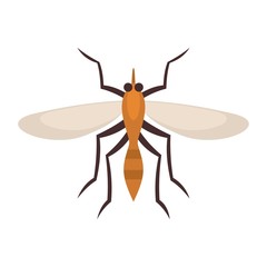 Brazil mosquito icon. Flat illustration of brazil mosquito vector icon for web design