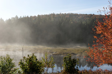 Fototapeta premium Lake in Algonquin national park ontario canada with foggy mystical atmosphere