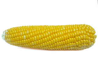 corn isolated on white background