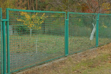 part of an metal made of green mesh on the street