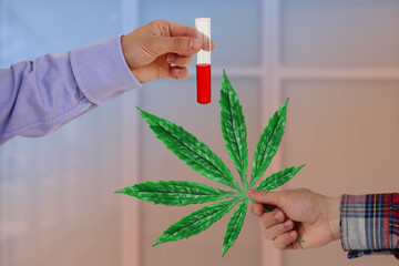 male hand with a green leaf of cannabis and a hand of blood in a test tube, medical concept,...