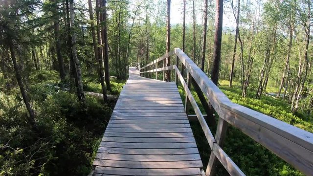 Hyperlapse pov shot running down long stairs through mountain forest