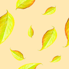 Seamless autumn pattern, autumn leaf fall, yellowed leaves, colored pencil drawing on paper