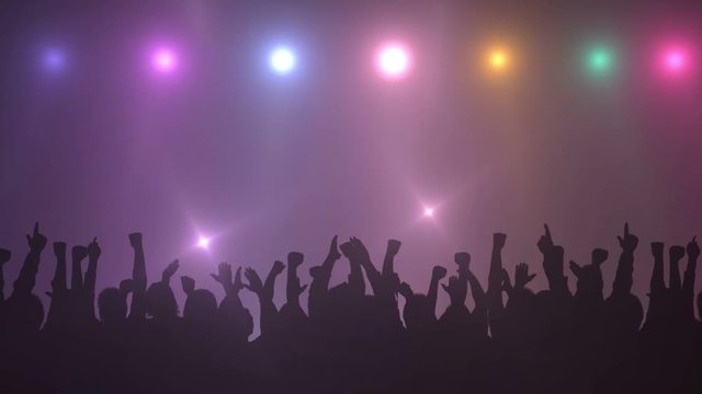 Video - Party - Feiern - Partyg&auml;nger - Disco - Club - Konzert - Nachtleben