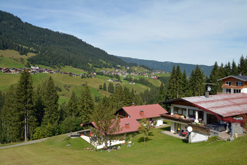 Fototapeta na wymiar landschaft im kleinwalsertal bei mittelberg