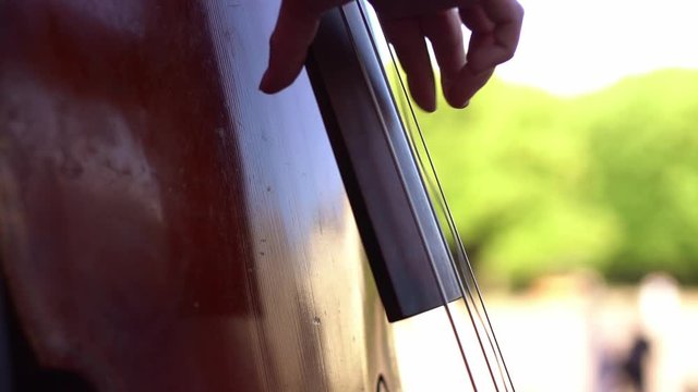 The musician plays the double bass, a very interesting movement of strings.