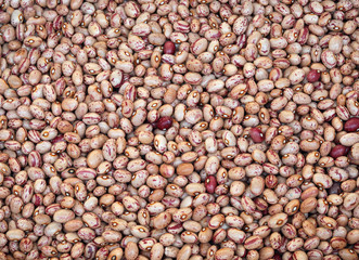 background of beans of pinto quality