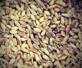 background of seeds of ancient grains