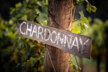 Chardonnay wooden sign - obrazy, fototapety, plakaty