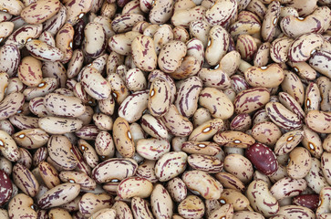 background of many beans