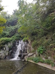 waterfall in forest