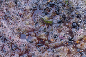 Wine material, grape juice - must, stum, maun. Technology of wine production in Moldova. The folk tradition of making wine. The ancient tradition of grape processing.