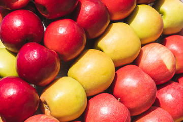Red and yellow apples laying in row by colors at the counter. Healthy life and proper nutrition concept.