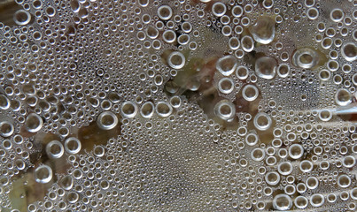 water drops on folio