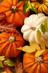 Autumn background with pumpkin and leaves. Top view