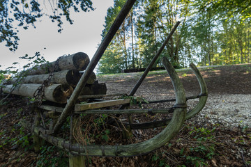 Holzfäller alter Lastenschlitten 
