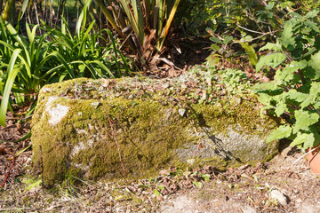 Stone trough as decoration in a garden