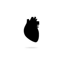 Human heart icon isolated on white background