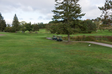 Fototapeta na wymiar Two golf carts on the manicured golf course