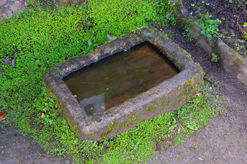 A old stone water trough surrounded by Mind Your Own Business