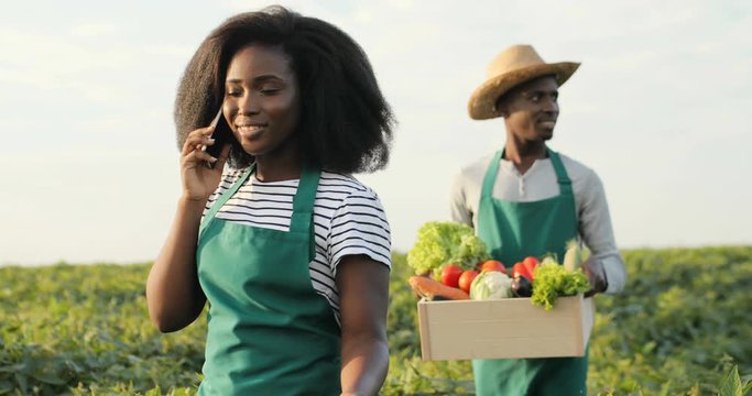 Young and beautiful African American girl in apron talking cheerfully on the phone while walking the field and her male co-worker following her with a box full of vegetables.