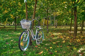 Womens white bike between Green yellow red colored trees in park in autumn. Leaves fall season. Minsk, Belarus 