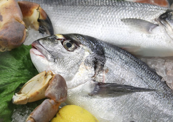 fishmonger stall with freshly caught sea bream