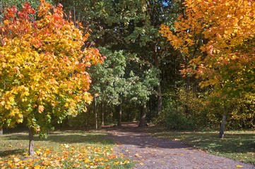 Beautiful path between Green yellow red colored trees in park in autumn. Leaves fall season. Minsk, Belarus