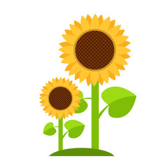 Sunflowers logo in cartoon style.