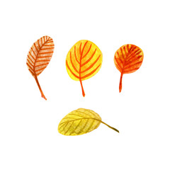 Set of hand drawn autumn leaves. Watercolor multicolor yellow, red, green stylized leaves collection. Isolated floral elements on white background