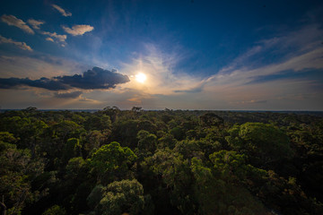 Sunrise from birdwatching tower - Amazon forest