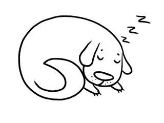 Cute sleeping dog. Hand drawn illustration 