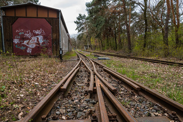 Fototapeta na wymiar railway switch in forest, railroad switch