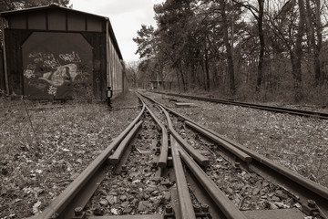 Naklejka na ściany i meble railway switch in forest, railroad switch, black and white photo