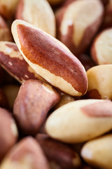 Close up picture of Brazil nuts, shallow depth of field.