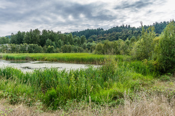 Wildlife Refuge Wetlands 2