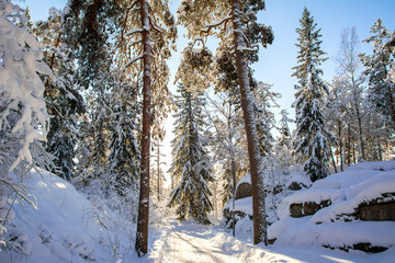 Beautiful winter view of the road in Hvittrask (Hvitträsk), Kirkkonummi, Finland