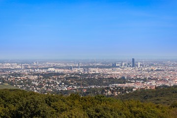Vienna panorama