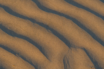 Ripples in the sand in Baja California dunes.