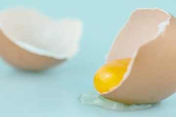Closeup fresh egg and egg yolk on the soft blue color background. © alohapatty