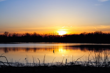 Obraz premium Marsh Sunset