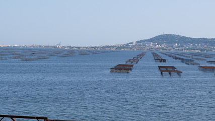 Des fermes conchylicoles au bord de la lagune de Thau