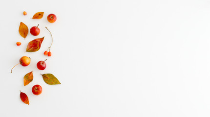 Composition made of yellow and red leaves, fruits and berries on the white background. Autumn concept. Flat lay, copy space