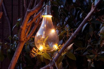 closeup_vintage_solar light bulb_shining_garden_plant_twig_evening_by jziprian