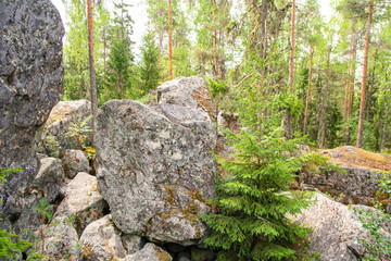 View of Ilveskivi boulder, one of the largest erratic boulders in Finland, details