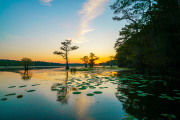 Sunset view with bald cypress trees and lily pads at Caddo Lake near Uncertain, Texas - obrazy, fototapety, plakaty