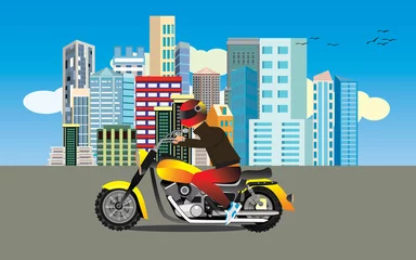 Foto op Plexiglas motorcyclist driving on the highway, urban buildings view on background, vector © Massaget