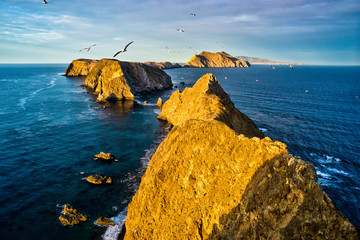 Seagulls Fly Above Inspiration Point - Anacapa Island