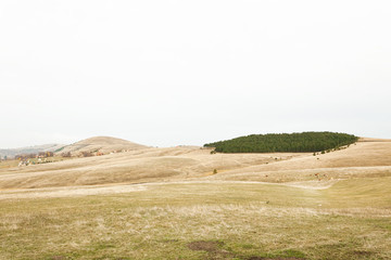 Obraz premium Zlatibor panorama in autumn with pasture and pine trees