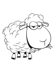 Schaf Weide fressen doof gras Herde süß lieb Wolle Nutztier grasen witzig 1c